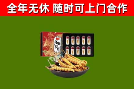 房县回收冬虫夏草价格