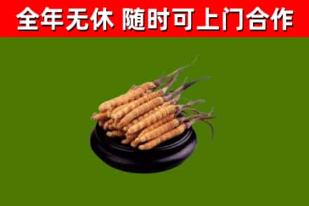 房县烟酒回收冬虫夏草.jpg